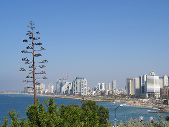 View from Jaffa to Tel Aviv