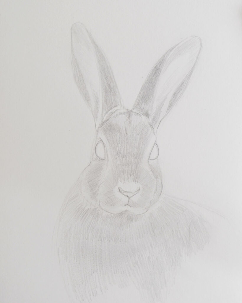 A Strange Little Bunny - Christopher Mitchell - Drawings & Illustration,  Animals, Birds, & Fish, Rabbits - ArtPal