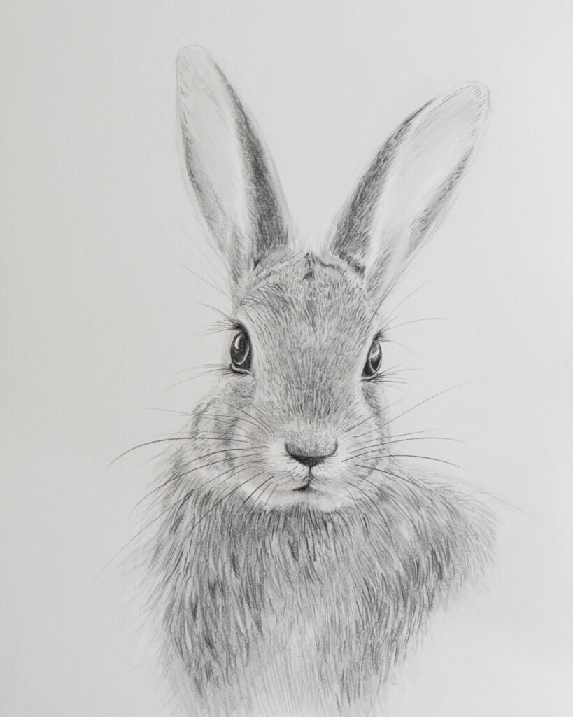 pencil drawing of a cute stuffed animal, bunny, | Midjourney