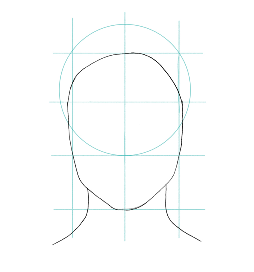 outline of a female face, general proportions